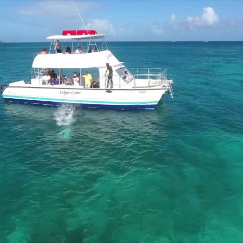 jumping off boat st lucia
