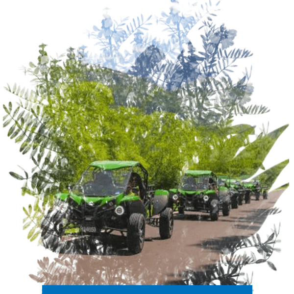 By-Land by land icon