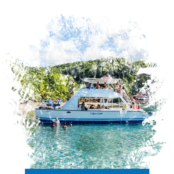 Calypso-Cat party boat