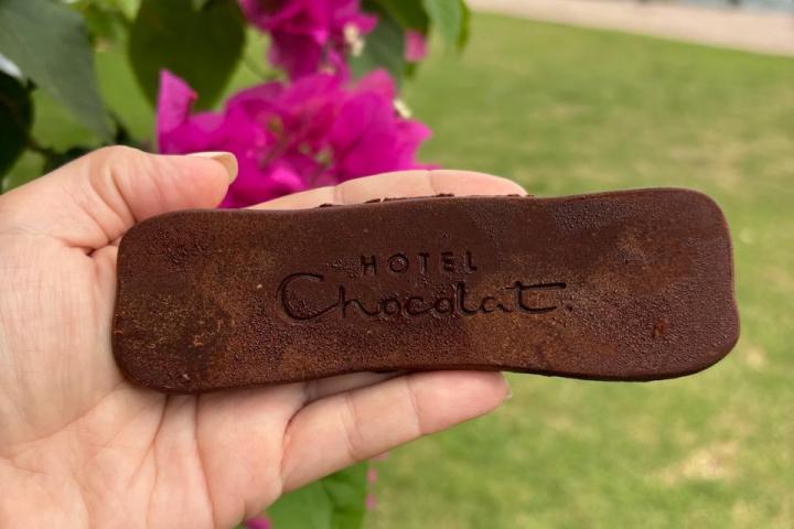 a hand holding a flower