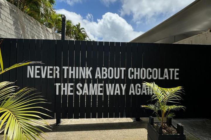 a group of palm trees on the side of a building