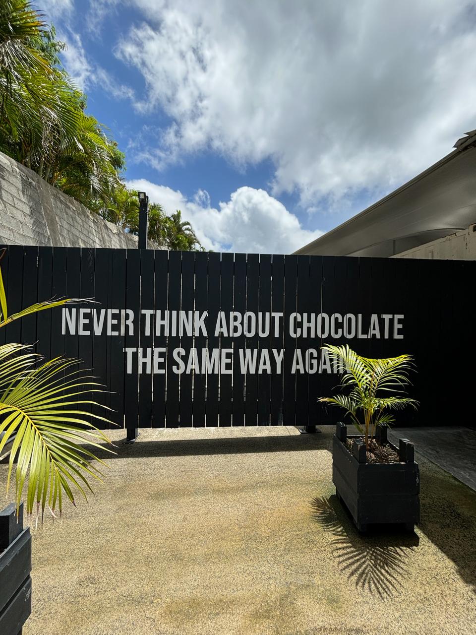a group of palm trees on the side of a building