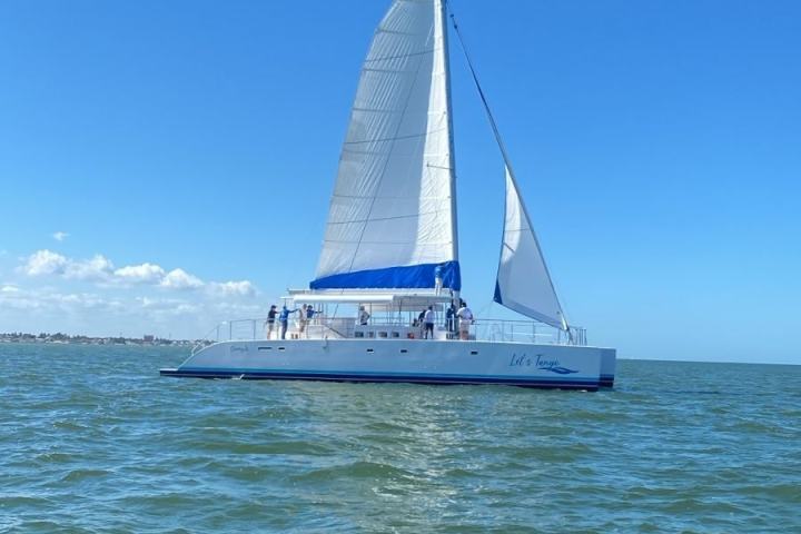 Catamaran with white sails and blue canopy on a sunny day over calm sea.