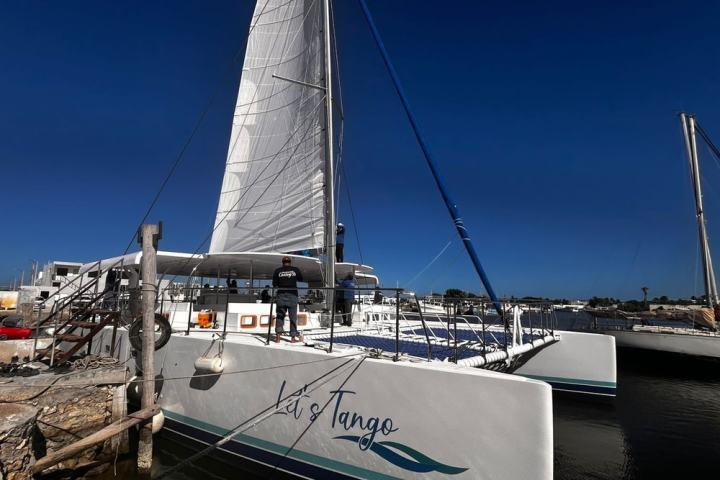 Catamaran with sail on dock under clear sky, person standing on deck.