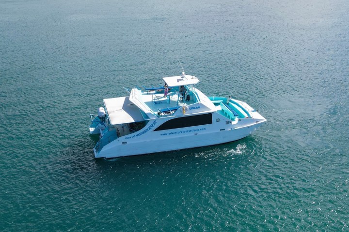 A white catamaran with a blue top, floating on calm blue ocean waters.